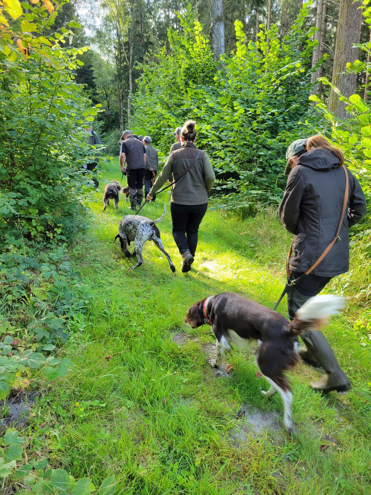 jv-nordvorpommern-hegering-abtshagen-Hundeausscheid1