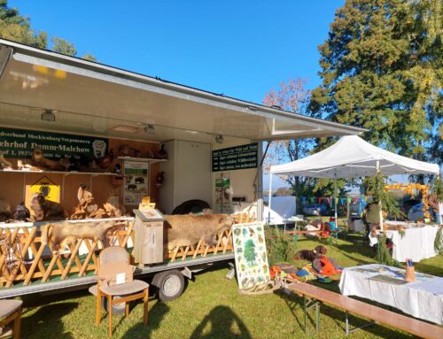 Rückblick: Bürgerfest in Tribsees