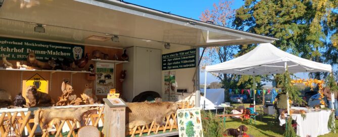 Bürgerfest Tribsees Hegering Stand