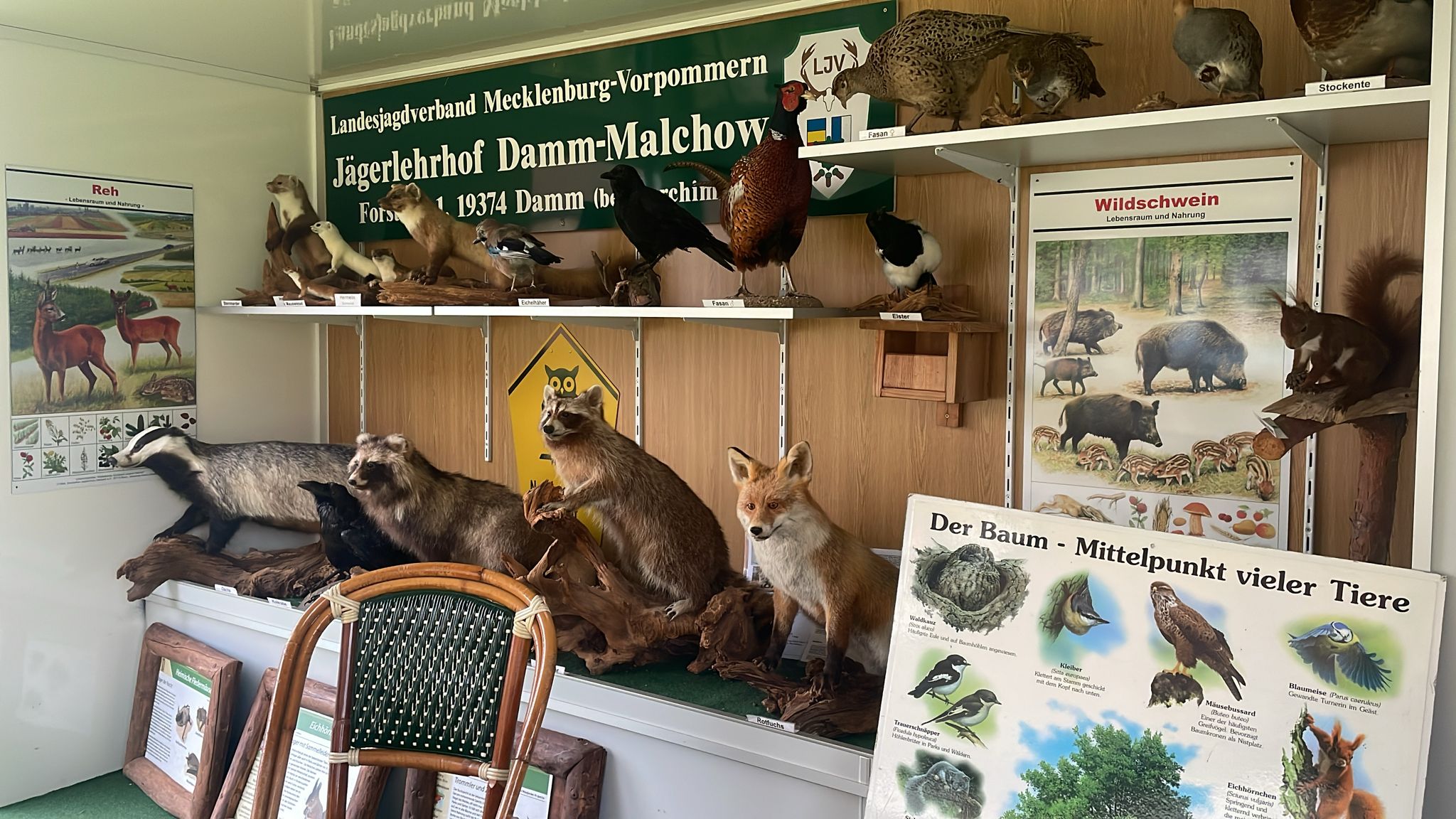 Jv-Nordvorpommern._Tribsees3 Bürgerfest Tribsees Hegering Stand