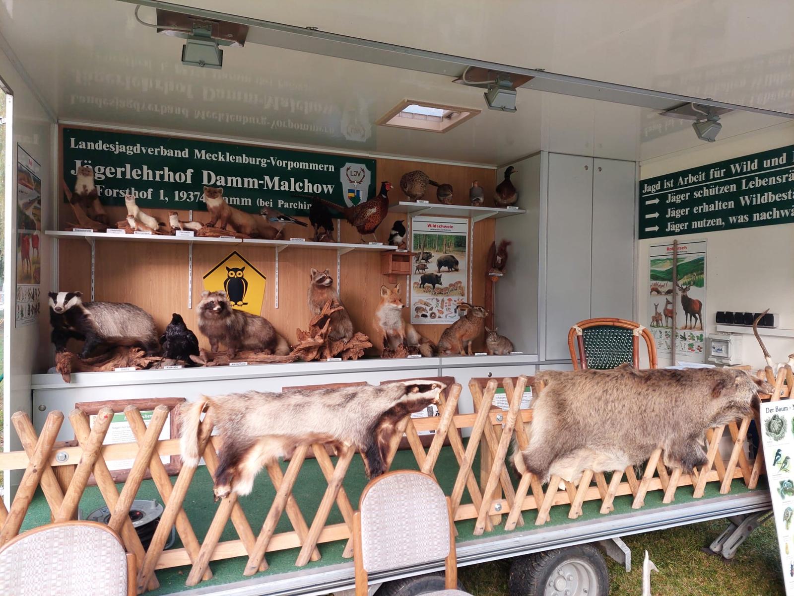 Jv-Nordvorpommern._Tribsees4 Bürgerfest Tribsees Hegering Stand