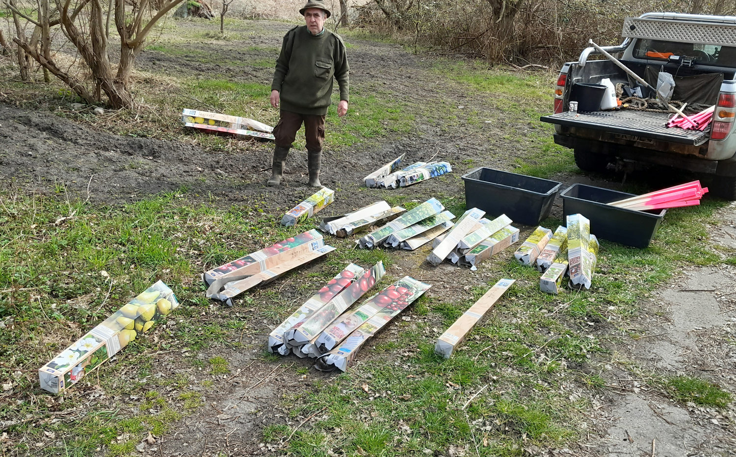 Fruchttragende-Bäume-bieten-dem-Wild-Äsung-und-schaffen-Abwechslung-in-den-Revieren