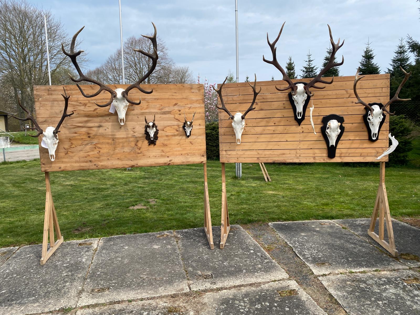 jvn_hegering-borgwallsee-trophäenwand