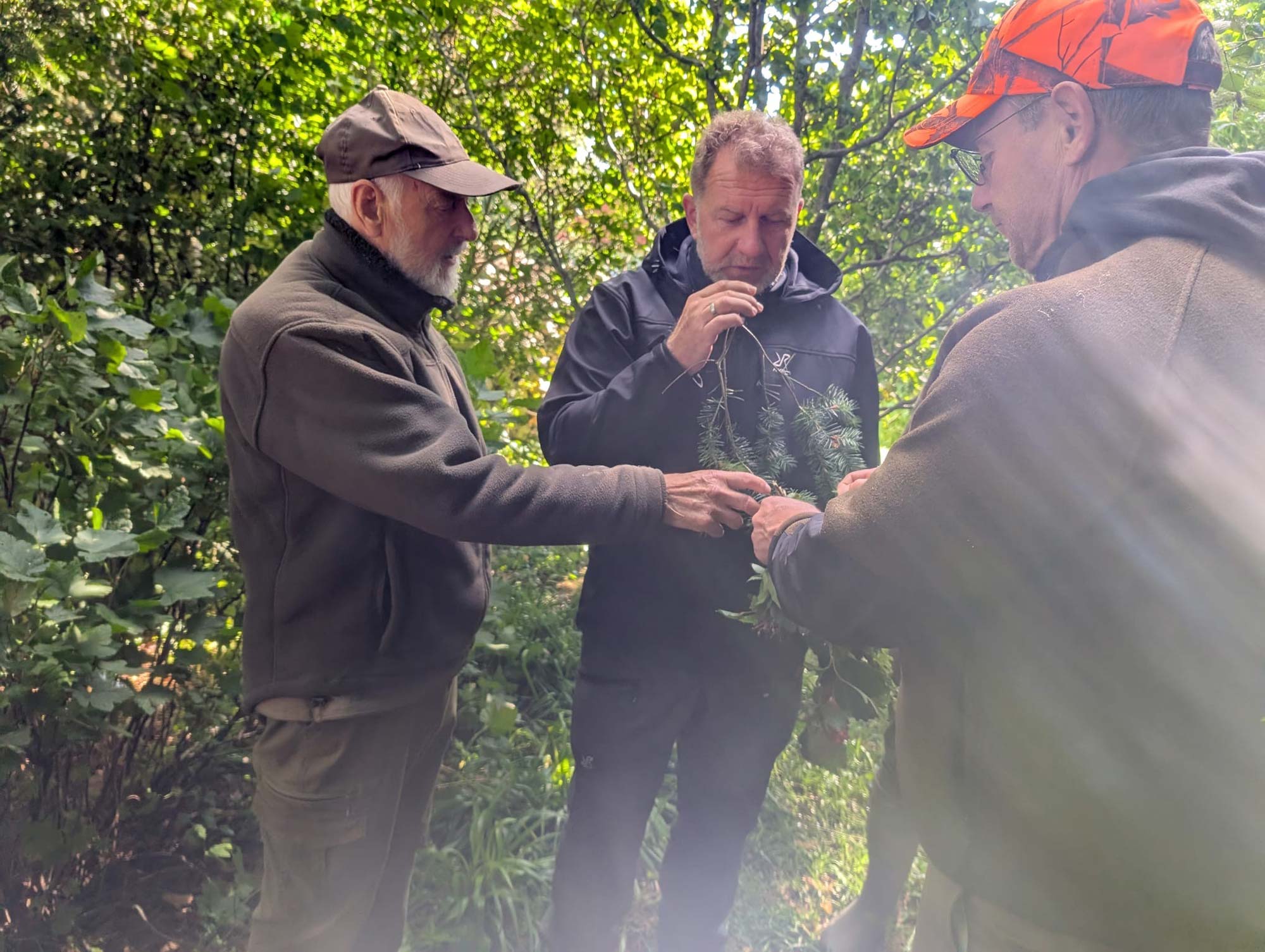 jvn_jagdschule-negast-botanik3