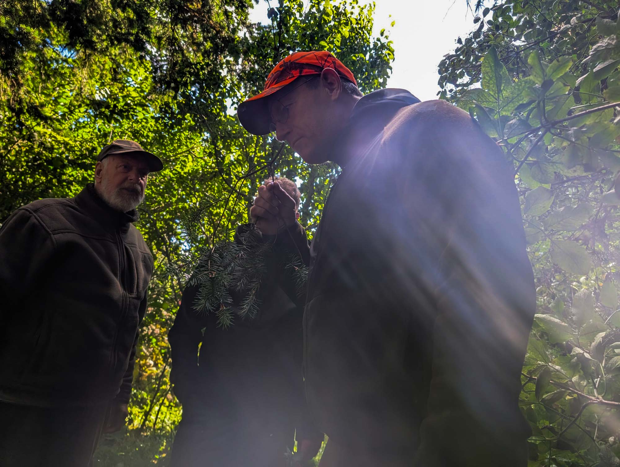 jvn_jagdschule-negast-botanik4