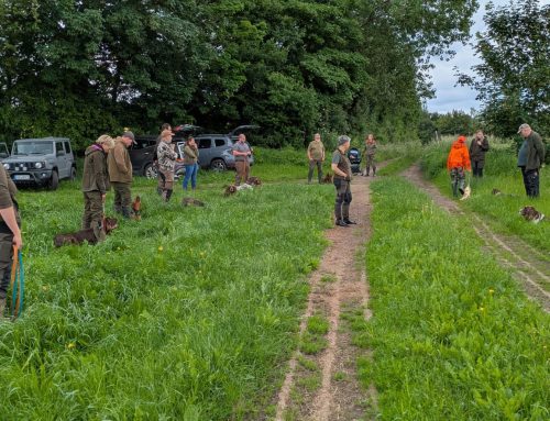 Ausbildung, Teamgeist und jagdliche Arbeit