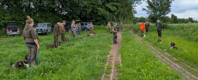 JVN Hundetraining Abtshagen 2