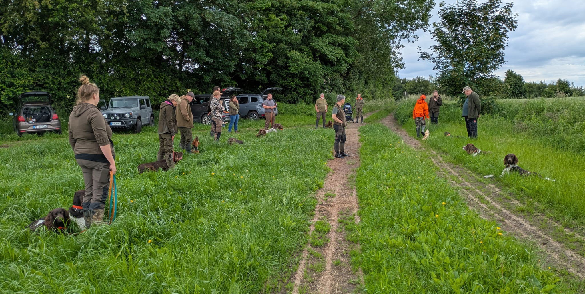 JVN Hundetraining Abtshagen 2