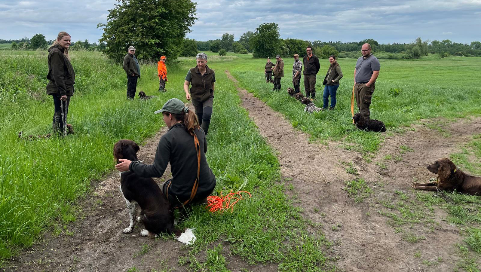 JVN Hundetraining Abtshagen